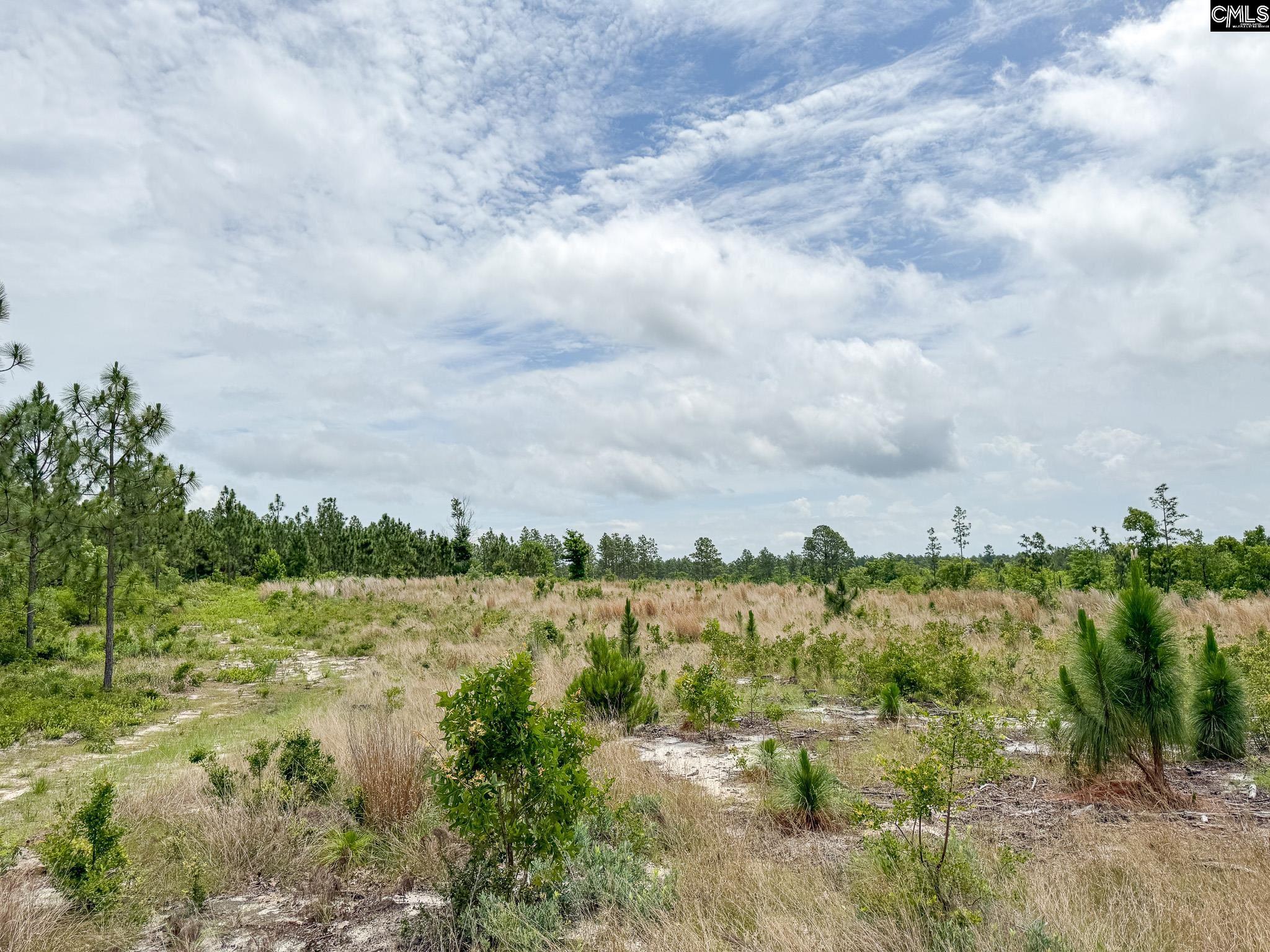 0 Neely Wingard Road, Unit LOT 8 Leesville, SC 29070 - Photo 4 of 7
