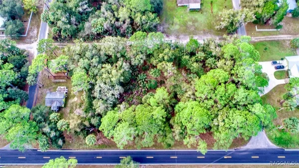 $35,000 | 0 Hwy 40 Highway, Yankeetown, FL 34498