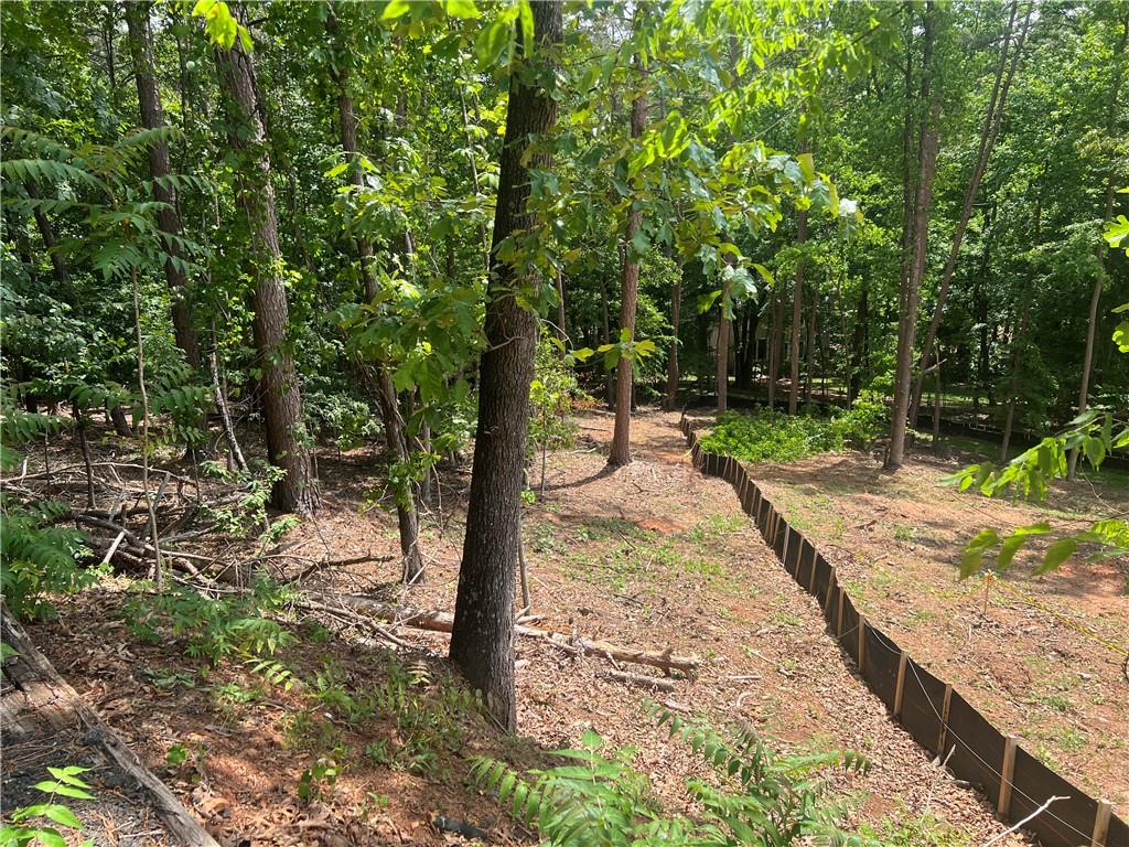 0 Old Atlanta Road Suwanee, GA 30024 - Photo 1 of 1 Gallery Image 1