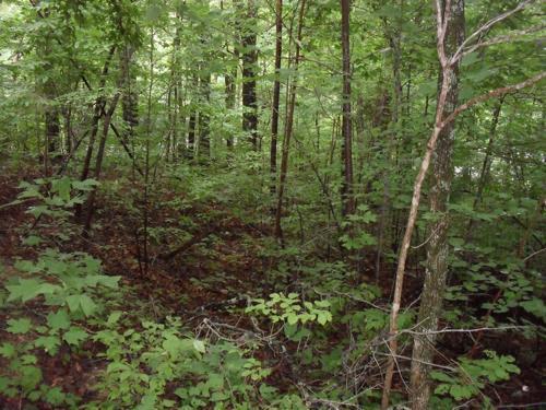 100 Sunnybrook Road Monticello, KY 42633 - Photo 1 of 1 Primary Photo