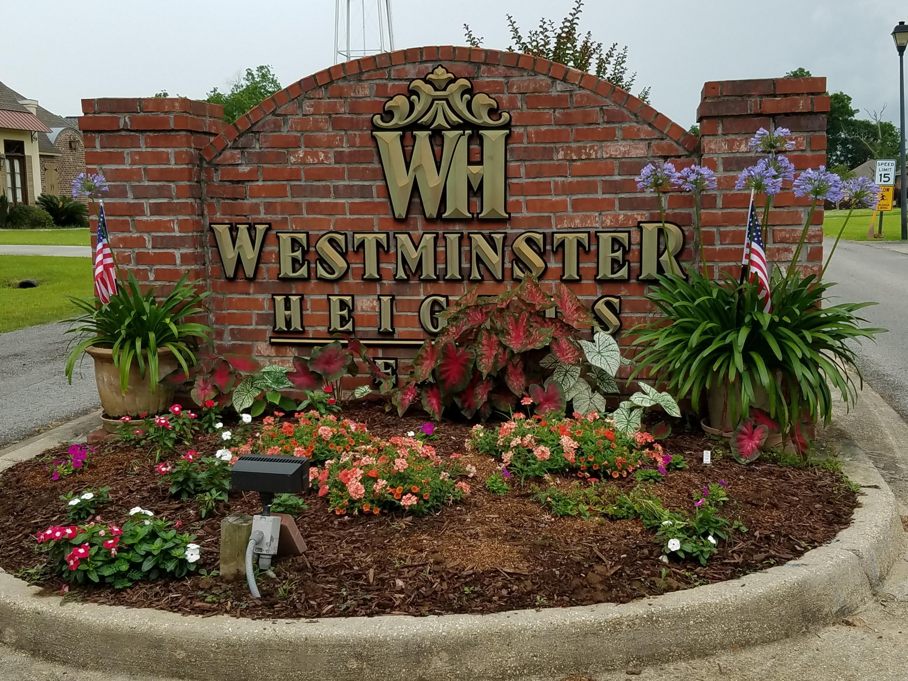 0 Grand Rue De Josh Opelousas, LA 70570 - Photo 1 of 2 20160603_124455