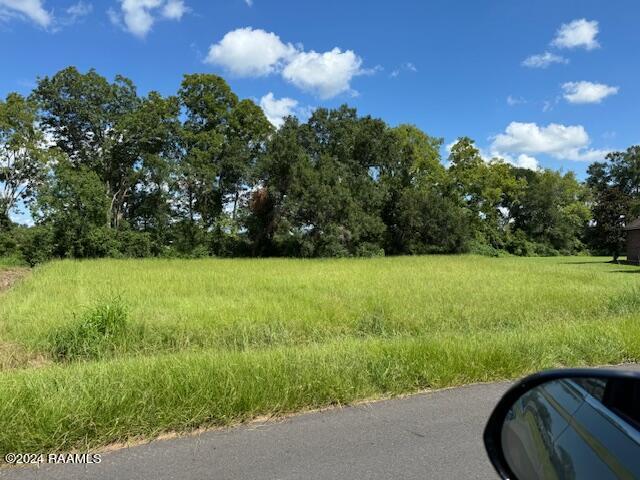 0 Grand Rue De Josh Opelousas, LA 70570 - Photo 2 of 2 IMG_1677