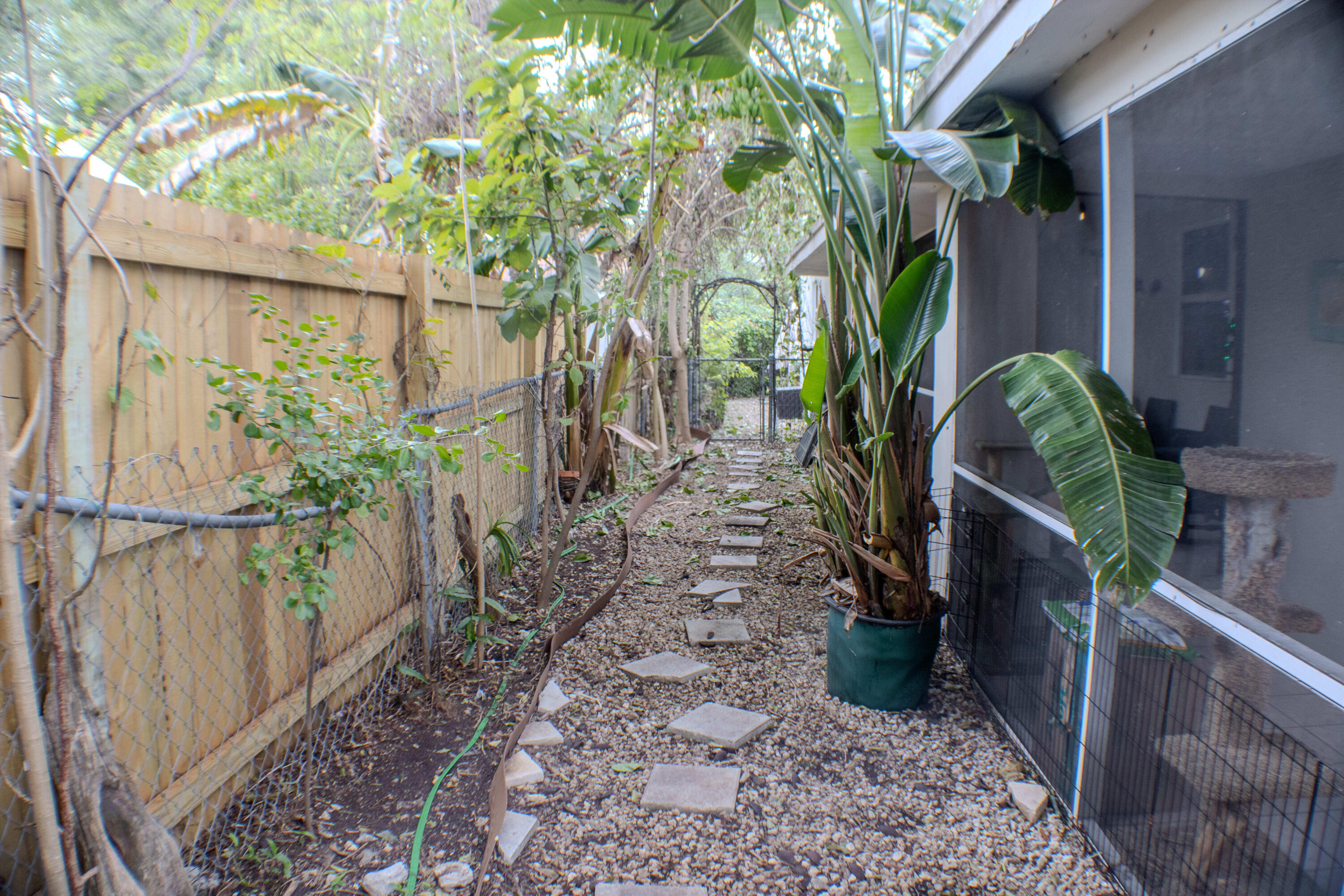 711 Sharon Place Key Largo, FL 33037 - Photo 26 of 38 Yard