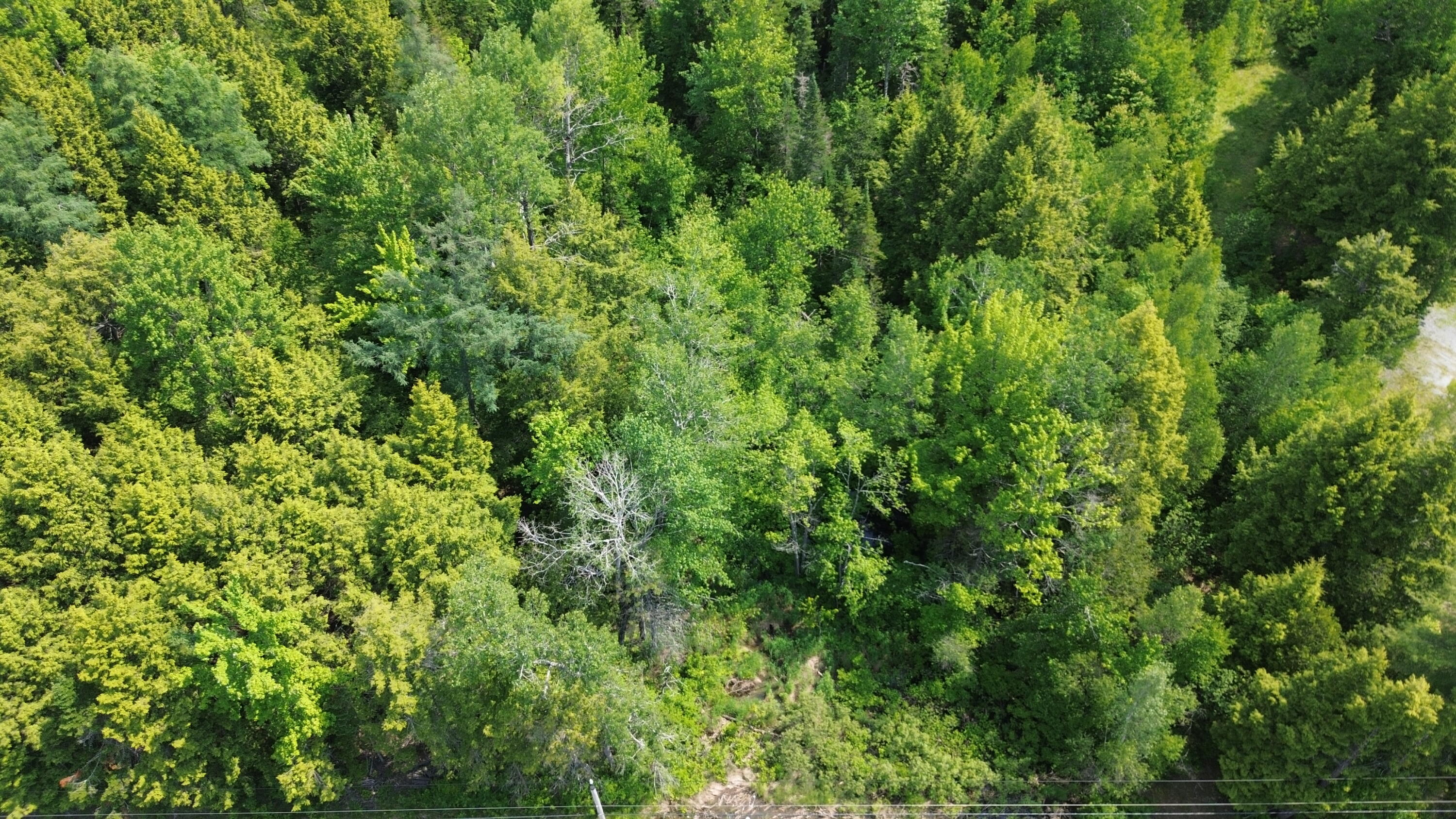 0 Kirkland Road Old Town, ME 04468 - Photo 10 of 12 DJI_0191