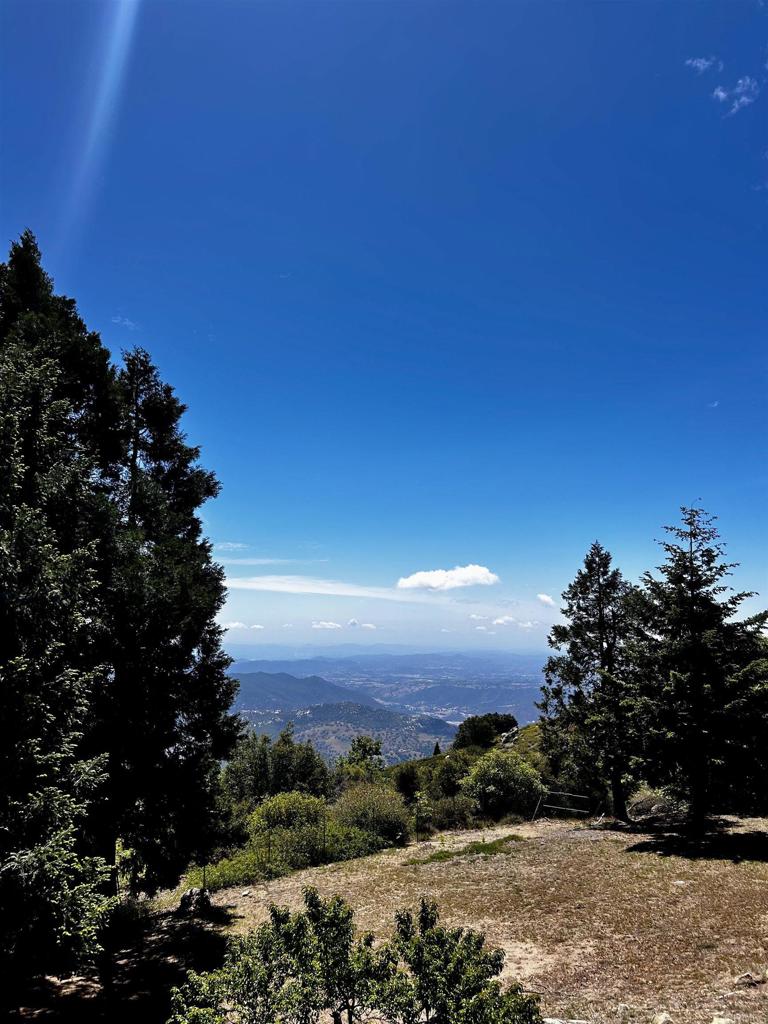 22223 Crestline Road Palomar Mountain, CA 92060 - Photo 29 of 37