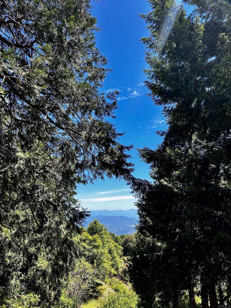 22223 Crestline Road Palomar Mountain, CA 92060 - Photo 30 of 37
