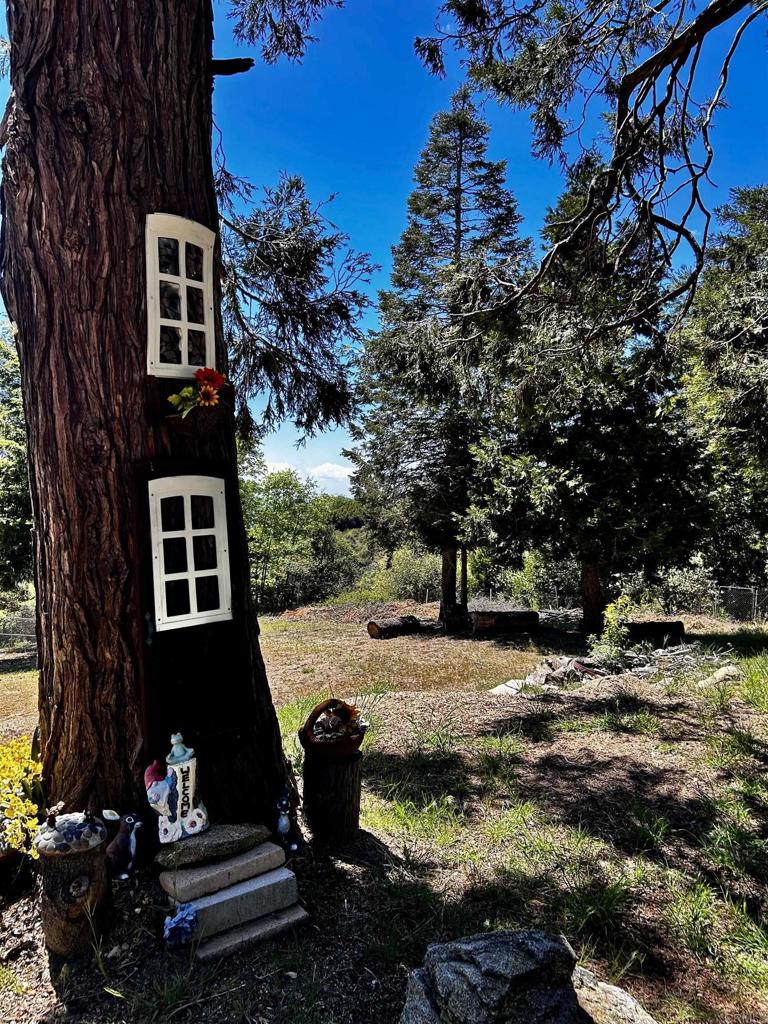 22223 Crestline Road Palomar Mountain, CA 92060 - Photo 31 of 37