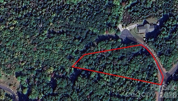 a view of a potted plants