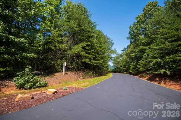 a view of a backyard with swimming pool