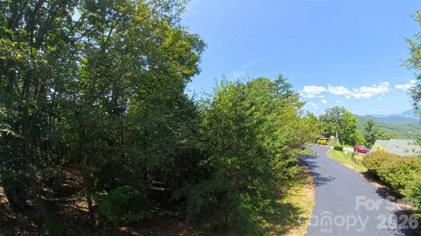 a view of a pathway with a tree in the background
