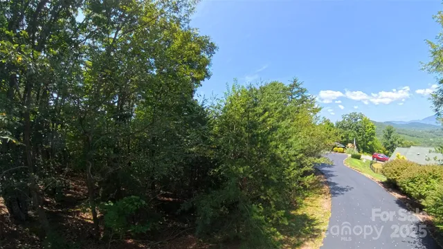a view of a forest with trees