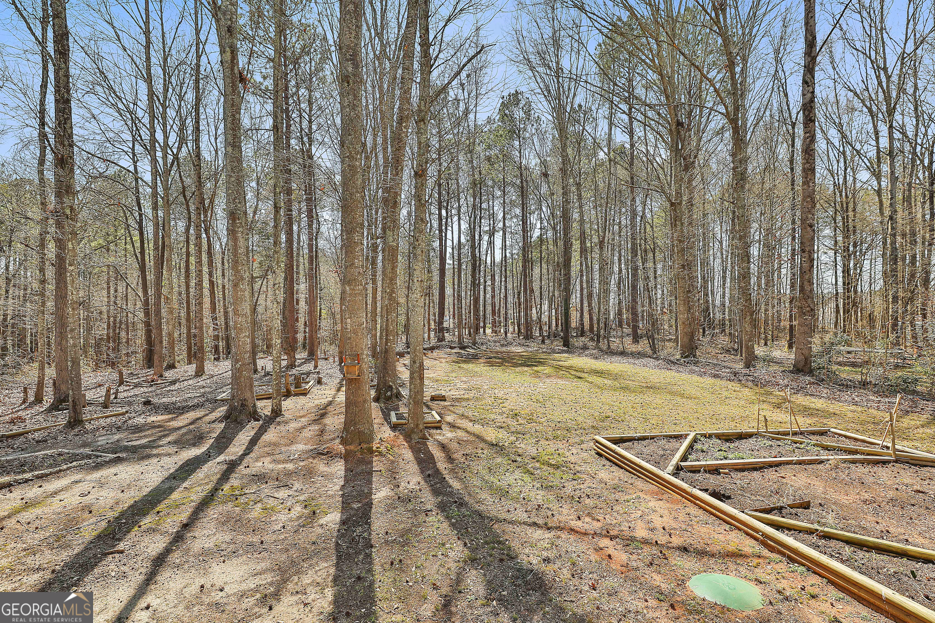 1209 North Hampton Drive Hampton, GA 30228 - Photo 29 of 39 a view of a backyard