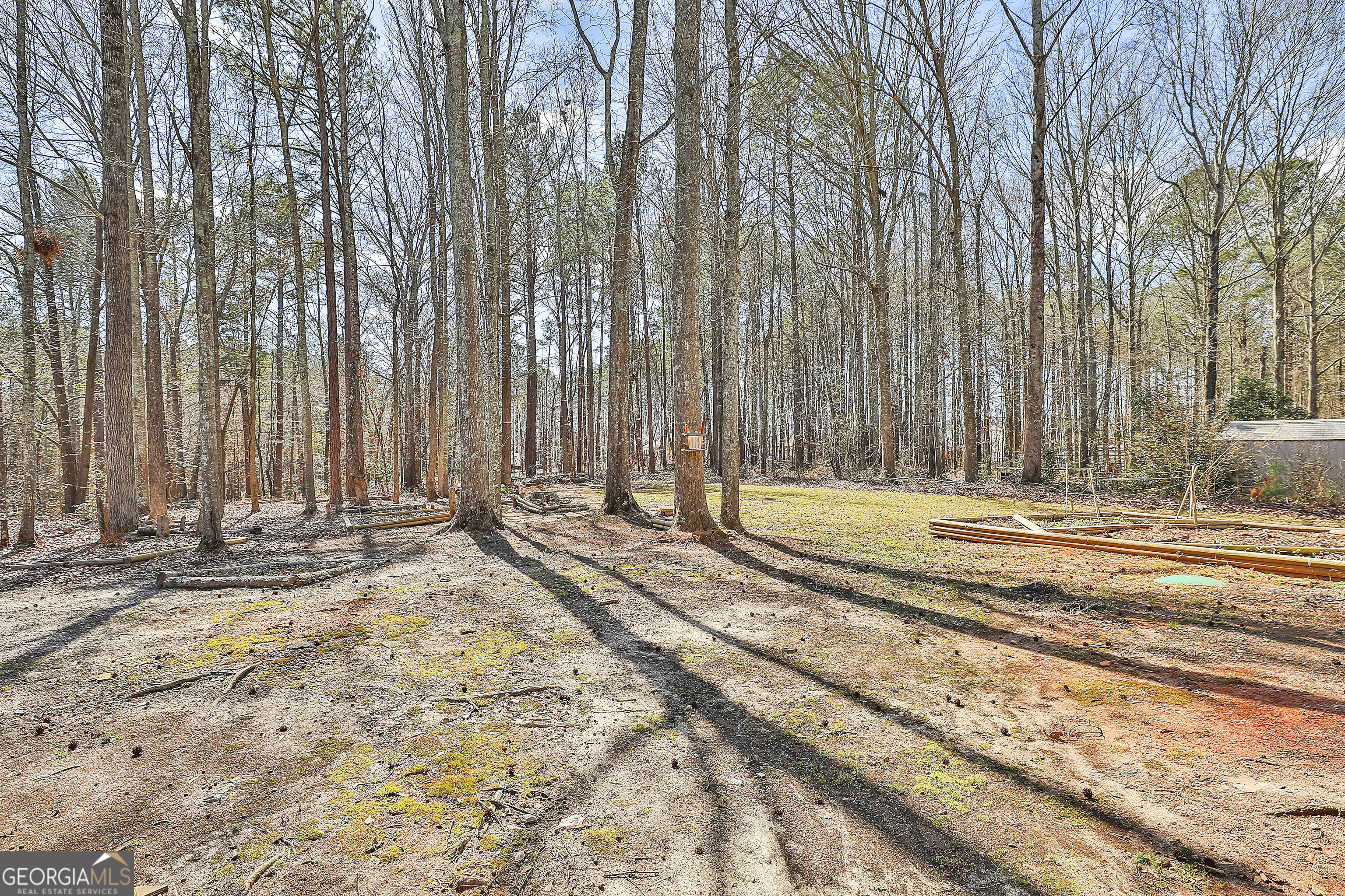 1209 North Hampton Drive Hampton, GA 30228 - Photo 31 of 39 a view of a backyard with large trees