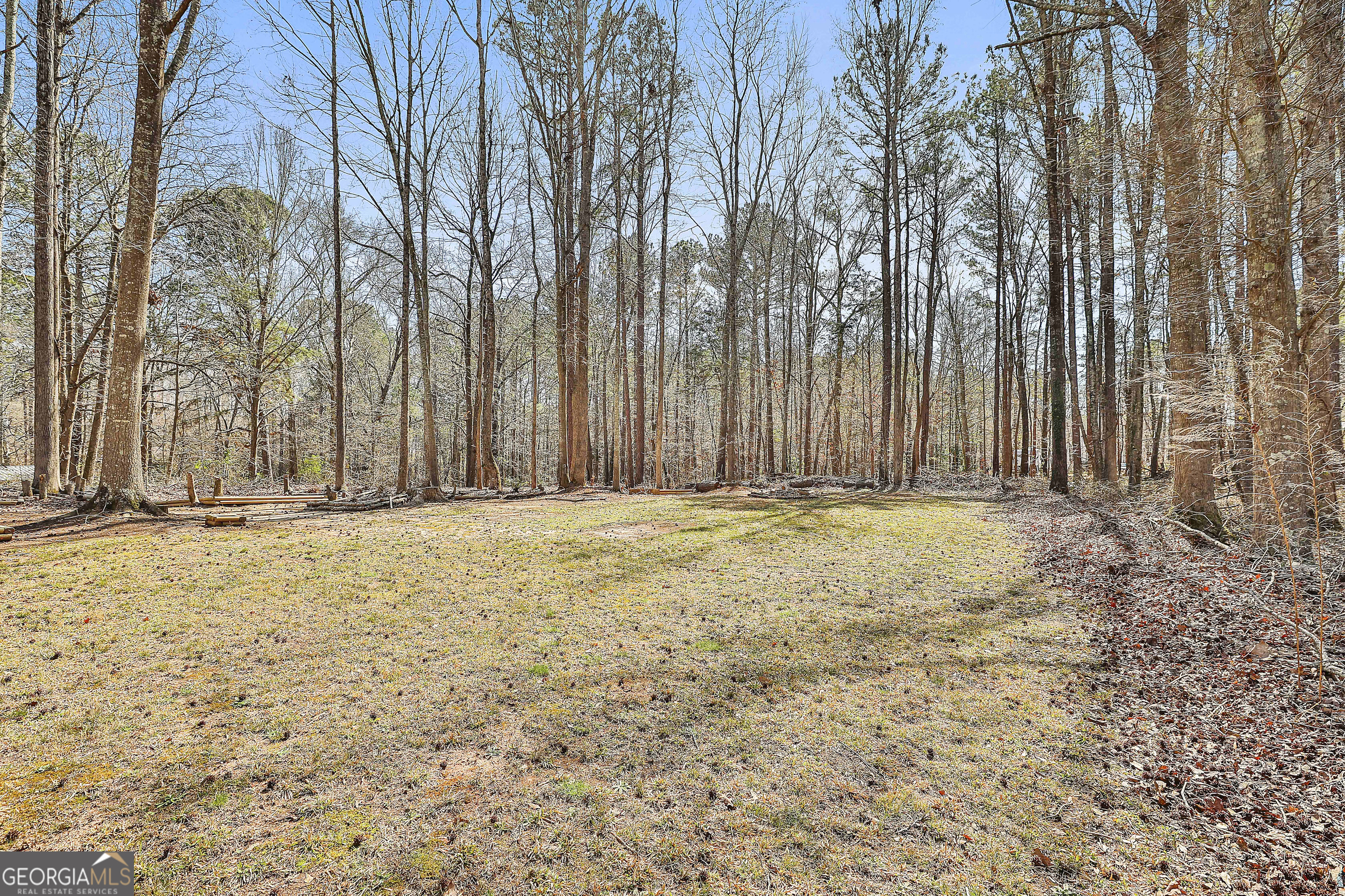 1209 North Hampton Drive Hampton, GA 30228 - Photo 35 of 39 a view of large yard with large trees
