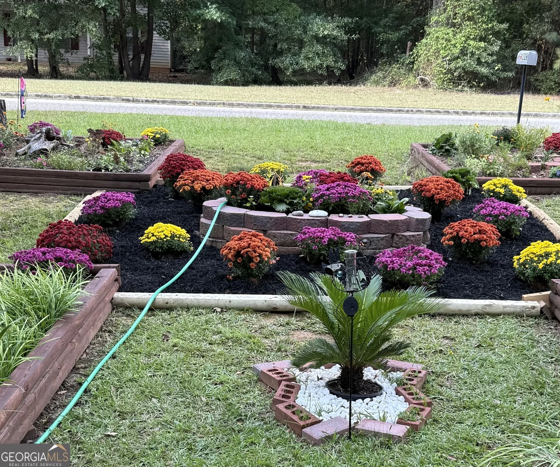 1209 North Hampton Drive Hampton, GA 30228 - Photo 36 of 39 a view of a flowers in a garden