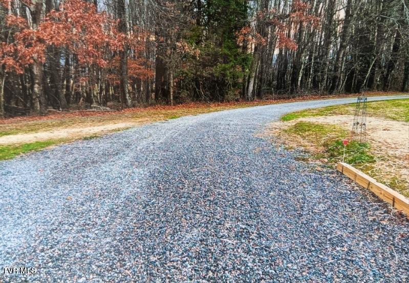 1319 Reece Hill Road Mountain City, TN 37683 - Photo 33 of 52 11