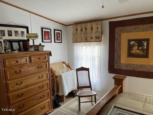 1319 Reece Hill Road Mountain City, TN 37683 - Photo 40 of 52 IMG_6096