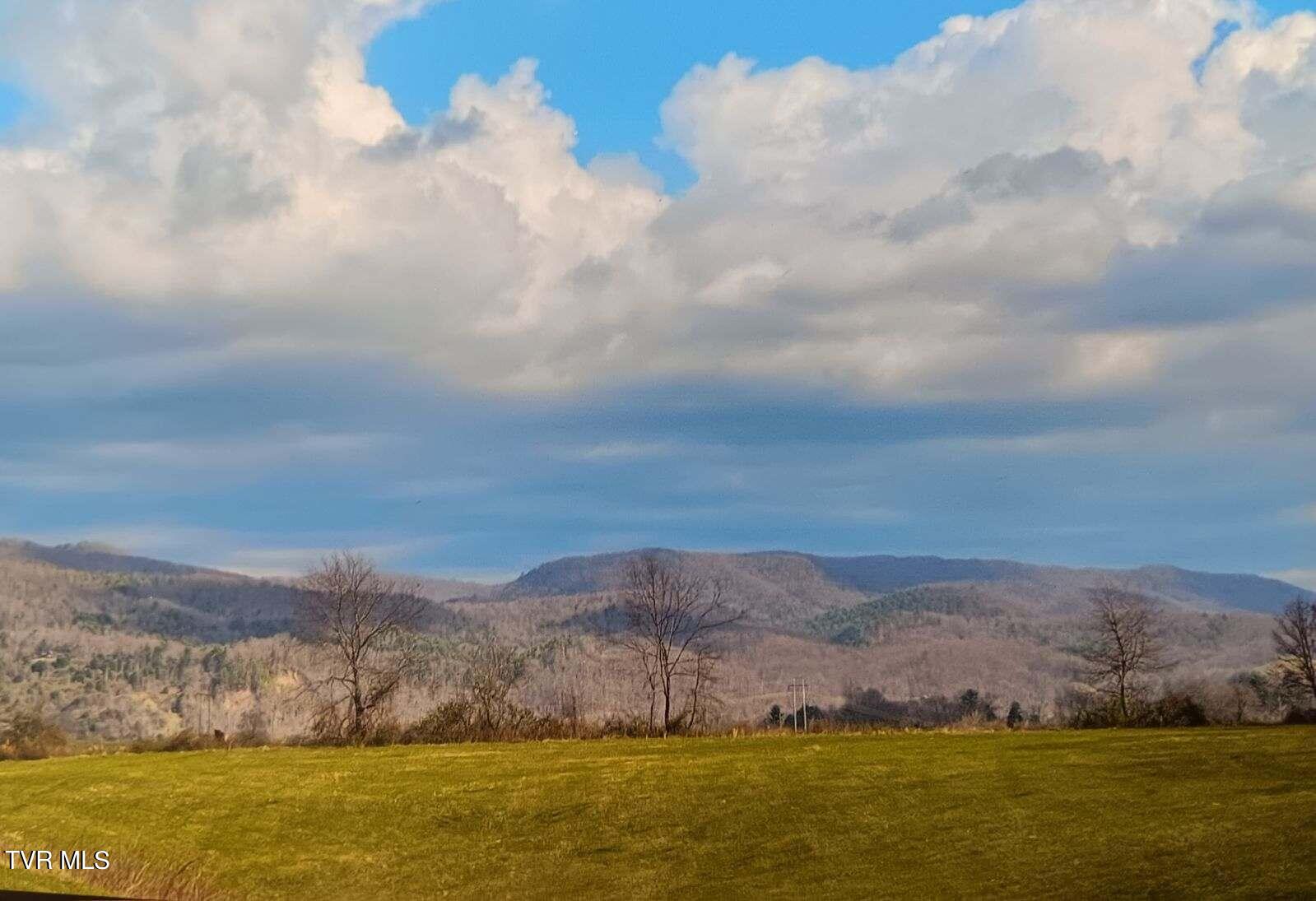1319 Reece Hill Road Mountain City, TN 37683 - Photo 46 of 52 image000000
