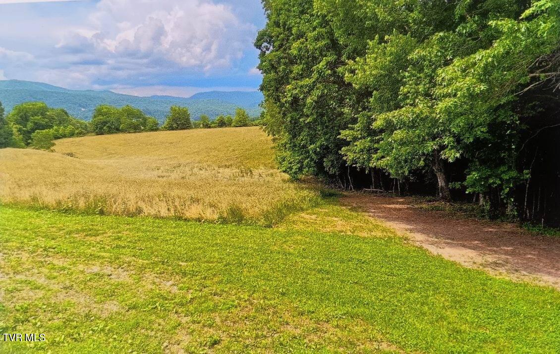 1319 Reece Hill Road Mountain City, TN 37683 - Photo 49 of 52 image000002