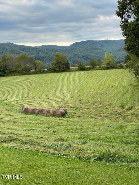 1319 Reece Hill Road Mountain City, TN 37683 - Photo 50 of 52 IMG_7031