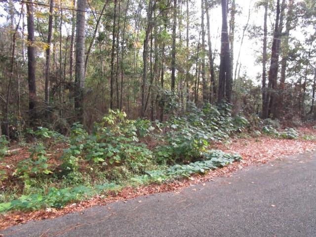 0 Williams Road Slidell, LA 70460 - Photo 2 of 5