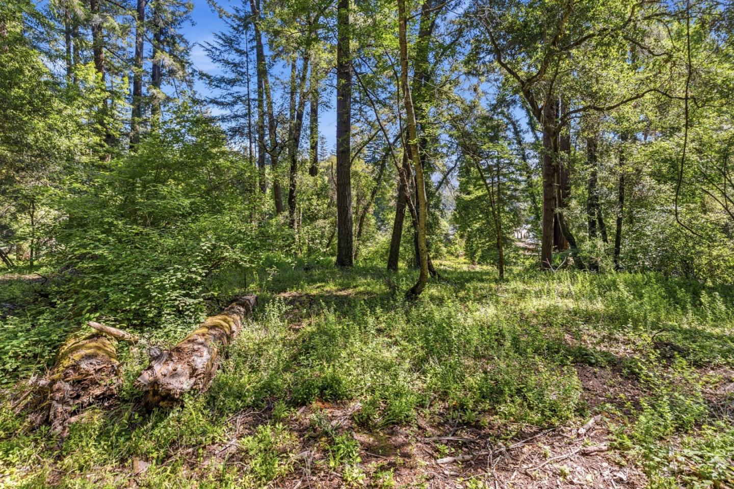 0 Garfield Way Felton, CA 95018 - Photo 2 of 21