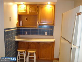217 Tree Street Philadelphia, PA 19148 - Photo 4 of 12