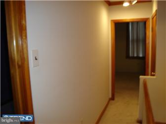 217 Tree Street Philadelphia, PA 19148 - Photo 9 of 12