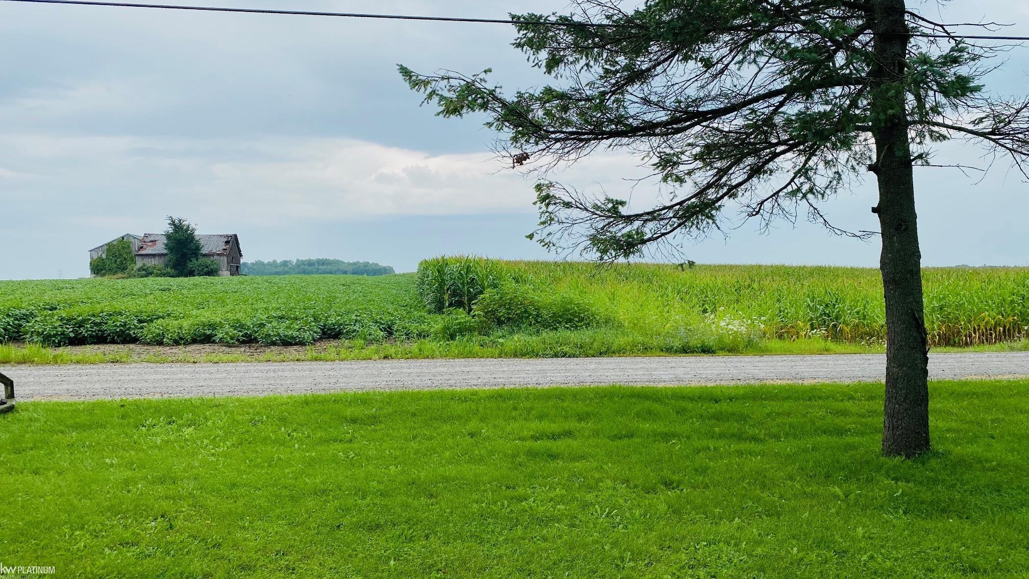 29520 34 Mile Road Richmond, MI 48062 - Photo 8 of 24