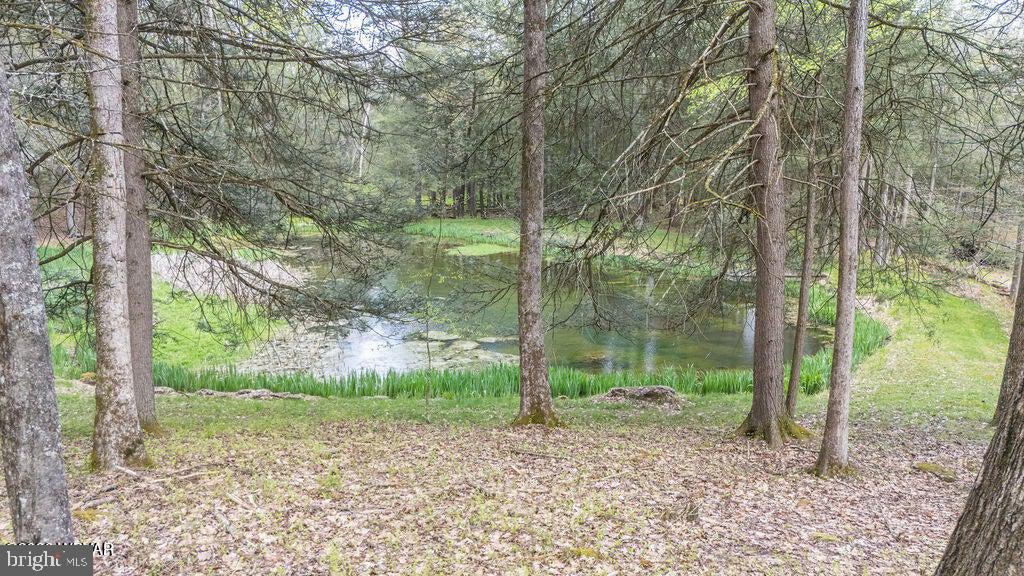 2270 Pine Tree Road Hughesville, PA 17737 - Photo 89 of 90 Serene pond nestled among trees.