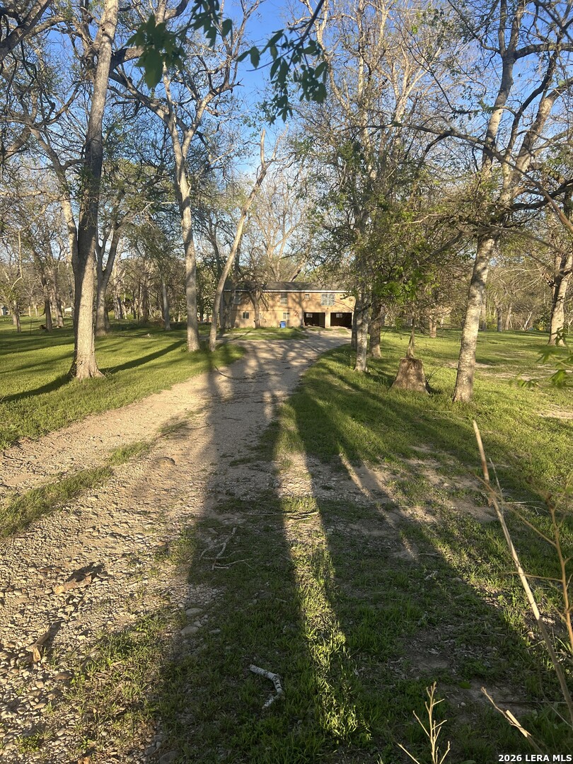 231 Signal Seguin, TX 78155 - Photo 5 of 14