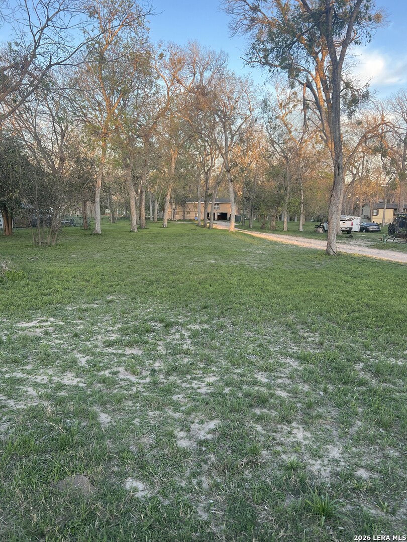 231 Signal Seguin, TX 78155 - Photo 8 of 14