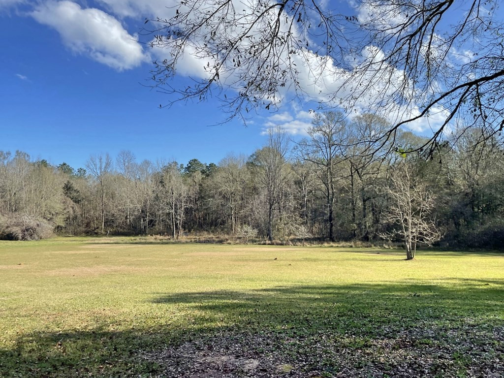 2110 Scott Furr Road Magnolia, MS 39652 - Photo 28 of 47 Photo 29