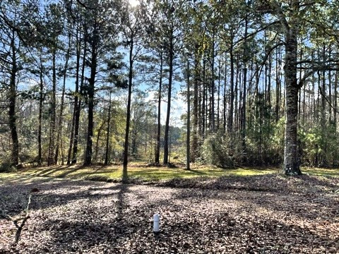 2110 Scott Furr Road Magnolia, MS 39652 - Photo 29 of 47 Photo 30
