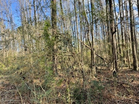2110 Scott Furr Road Magnolia, MS 39652 - Photo 32 of 47 Photo 33