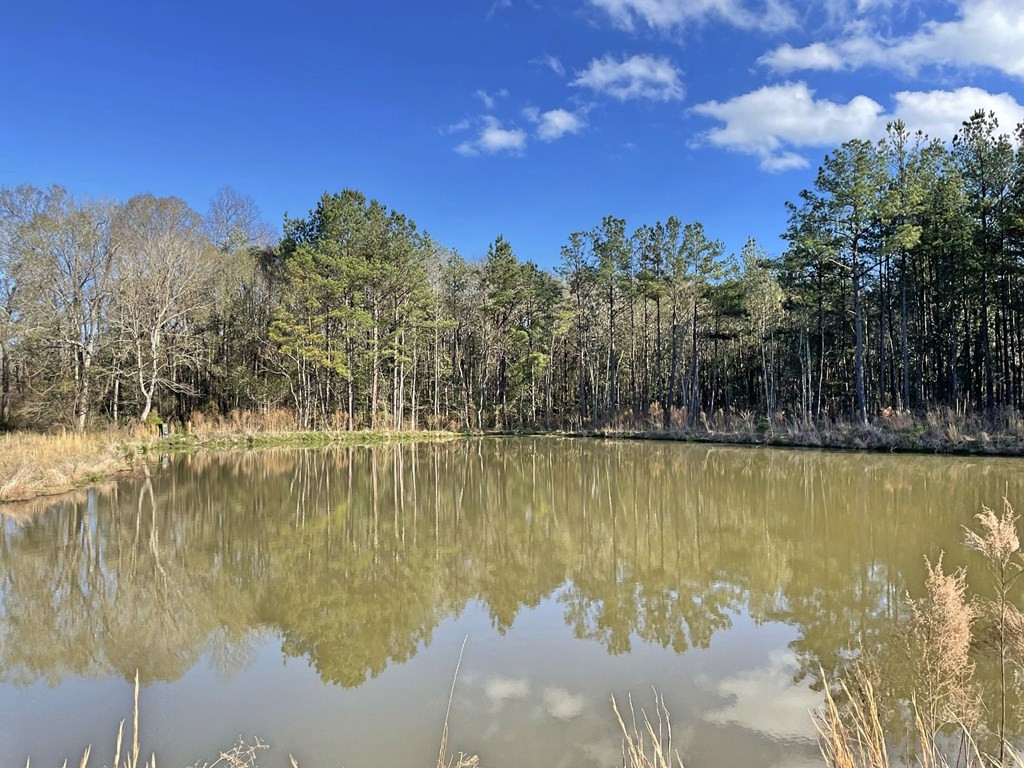 2110 Scott Furr Road Magnolia, MS 39652 - Photo 4 of 47 Photo 4