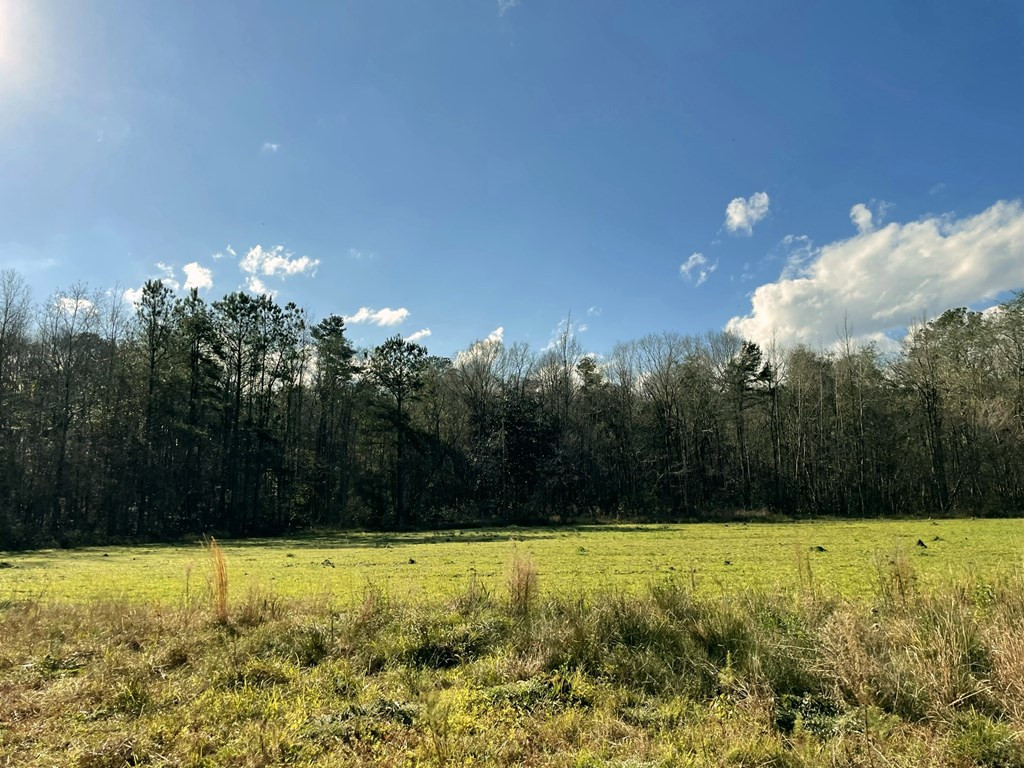 2110 Scott Furr Road Magnolia, MS 39652 - Photo 42 of 47 Photo 43