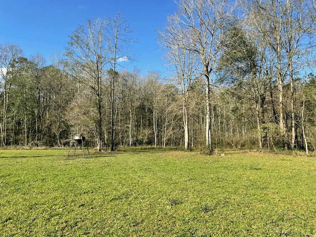 2110 Scott Furr Road Magnolia, MS 39652 - Photo 43 of 47 Photo 44
