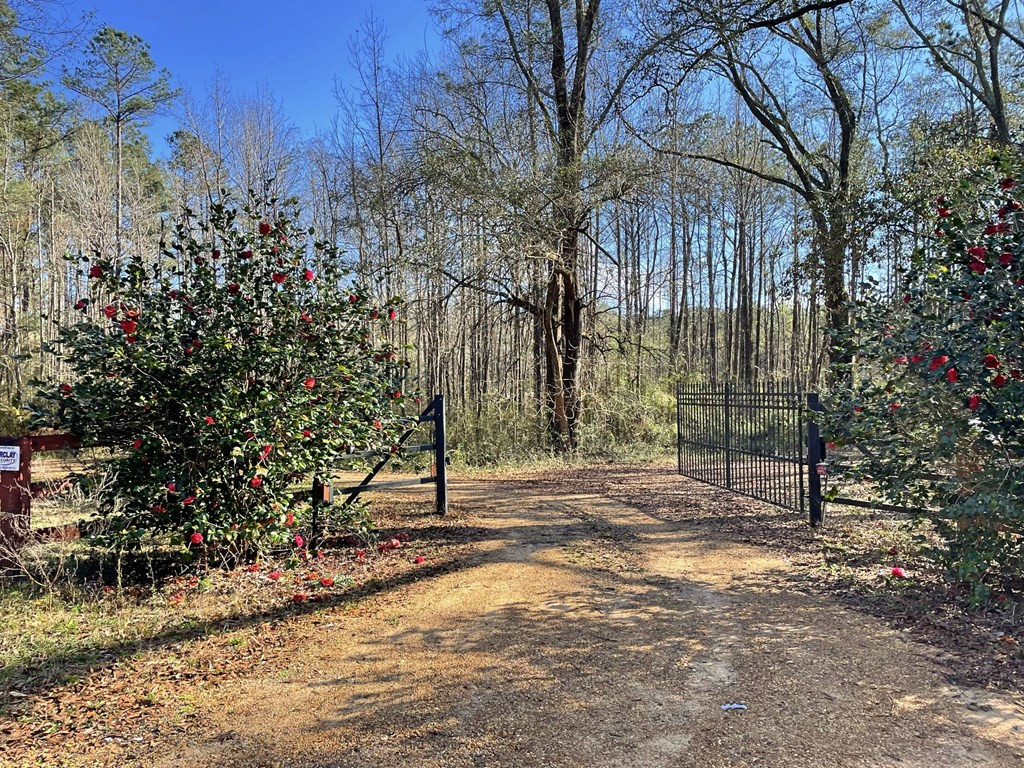 2110 Scott Furr Road Magnolia, MS 39652 - Photo 45 of 47 Photo 46
