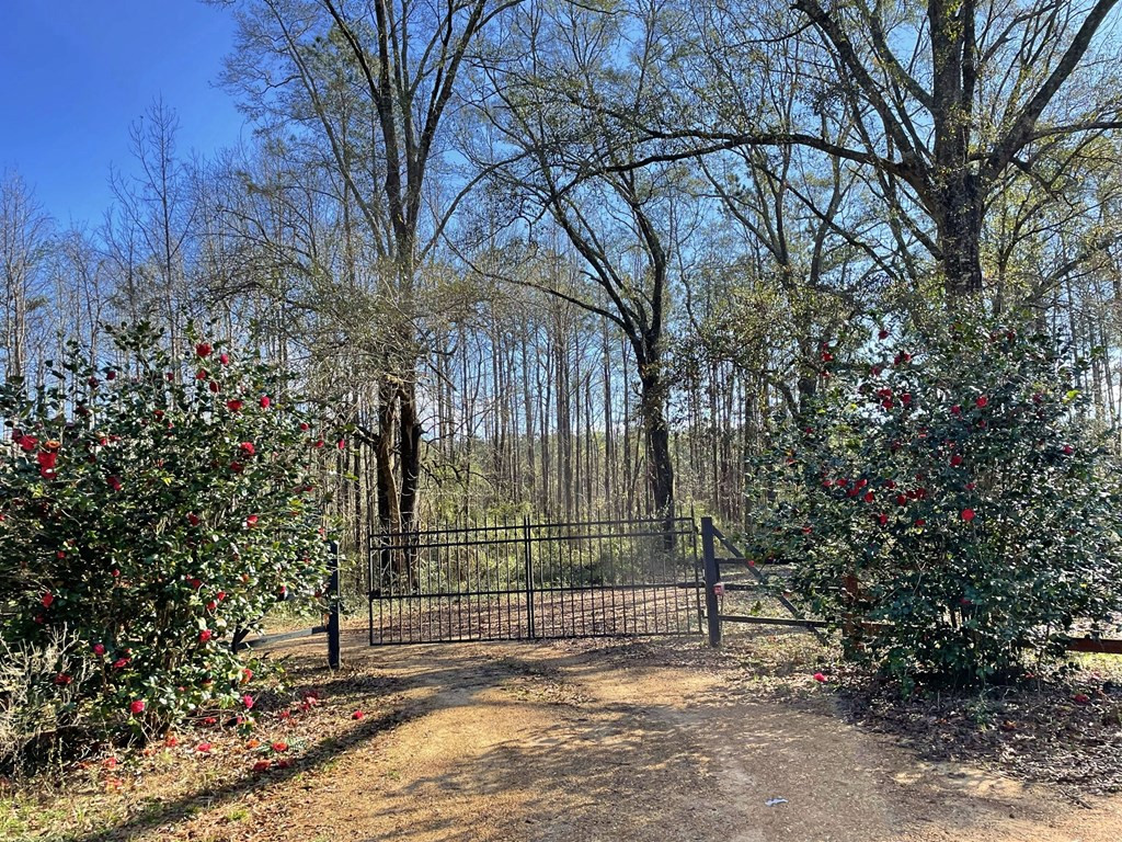 2110 Scott Furr Road Magnolia, MS 39652 - Photo 46 of 47 Photo 47