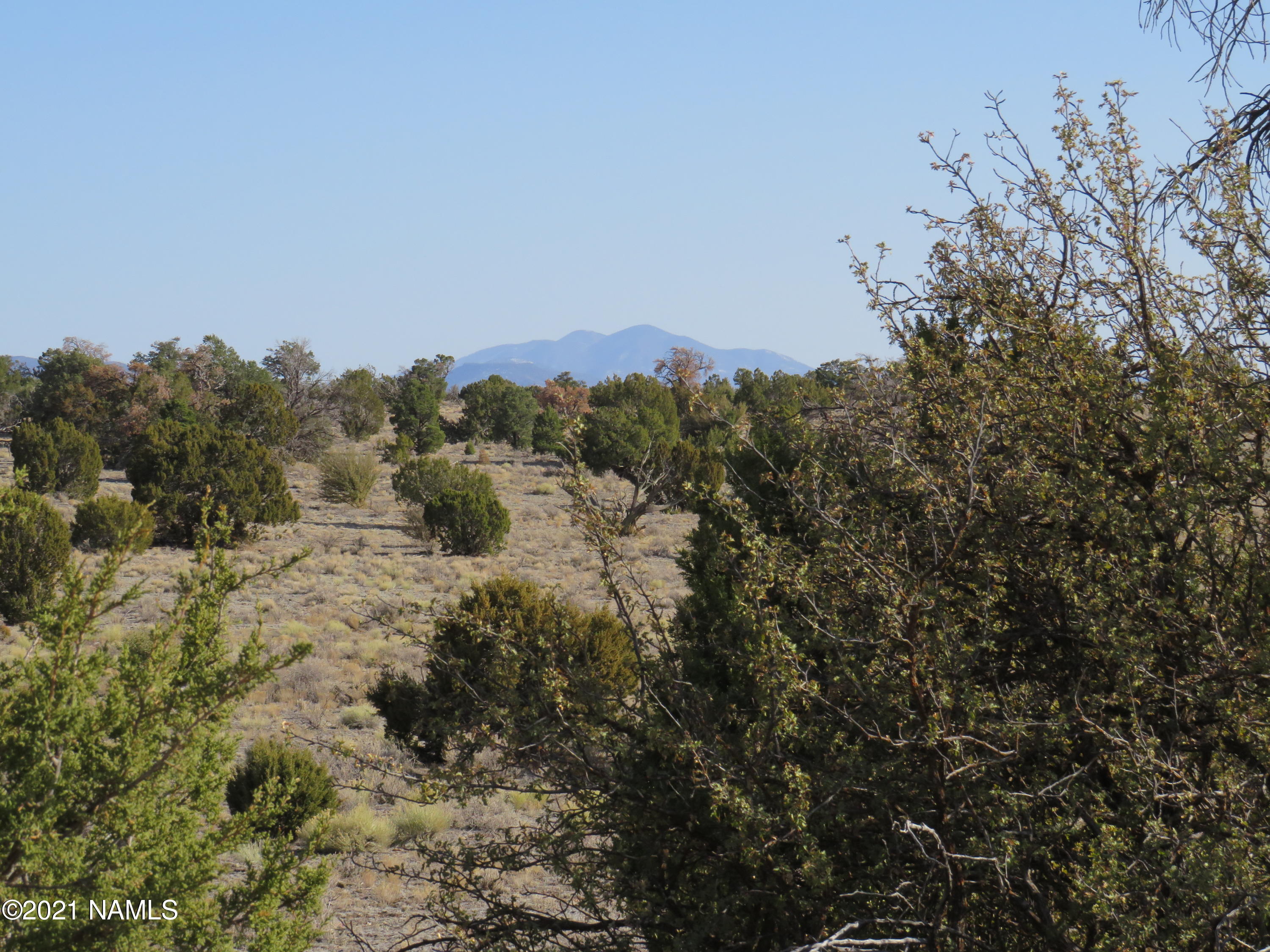 3413 North Peakview Road Williams, AZ 86046 - Photo 17 of 18 IMG_0334