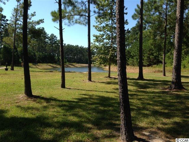Lot 133 Sprig Lane Murrells Inlet, SC 29576 - Photo 1 of 9 Gallery Image 1