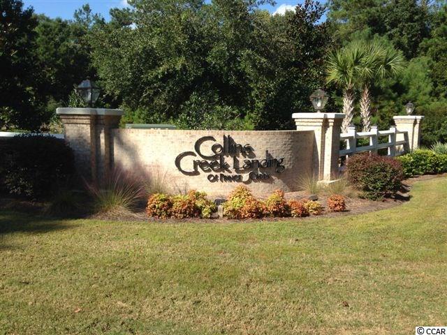 Lot 133 Sprig Lane Murrells Inlet, SC 29576 - Photo 2 of 9 Gallery Image 2