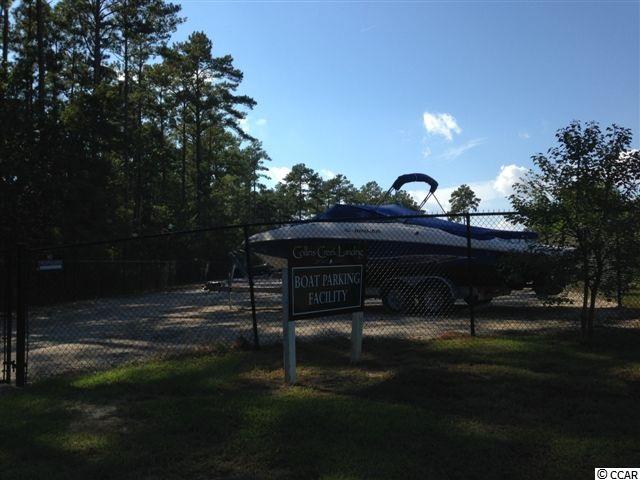 Lot 133 Sprig Lane Murrells Inlet, SC 29576 - Photo 3 of 9 Gallery Image 3