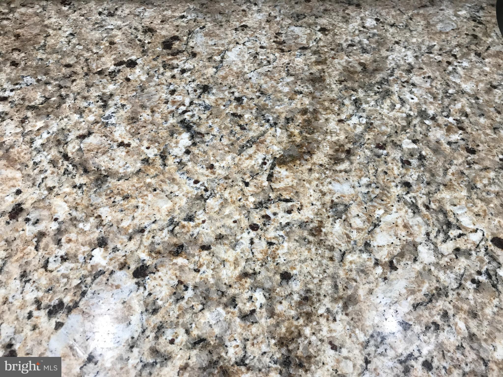 839 Colwell Road Swarthmore, PA 19081 - Photo 43 of 55 Gorgeous Granite in the Kitchen