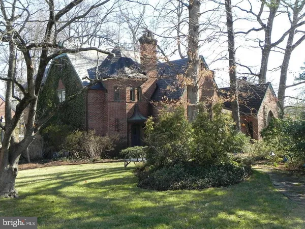 a view of a backyard with large trees