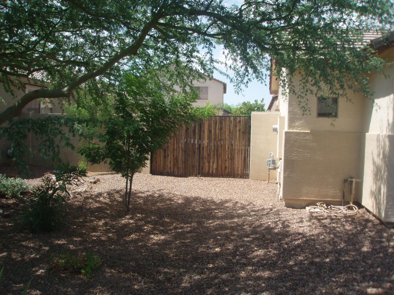 4230 South Splendor Place Gilbert, AZ 85297 - Photo 2 of 11 a backyard of a house with a tree