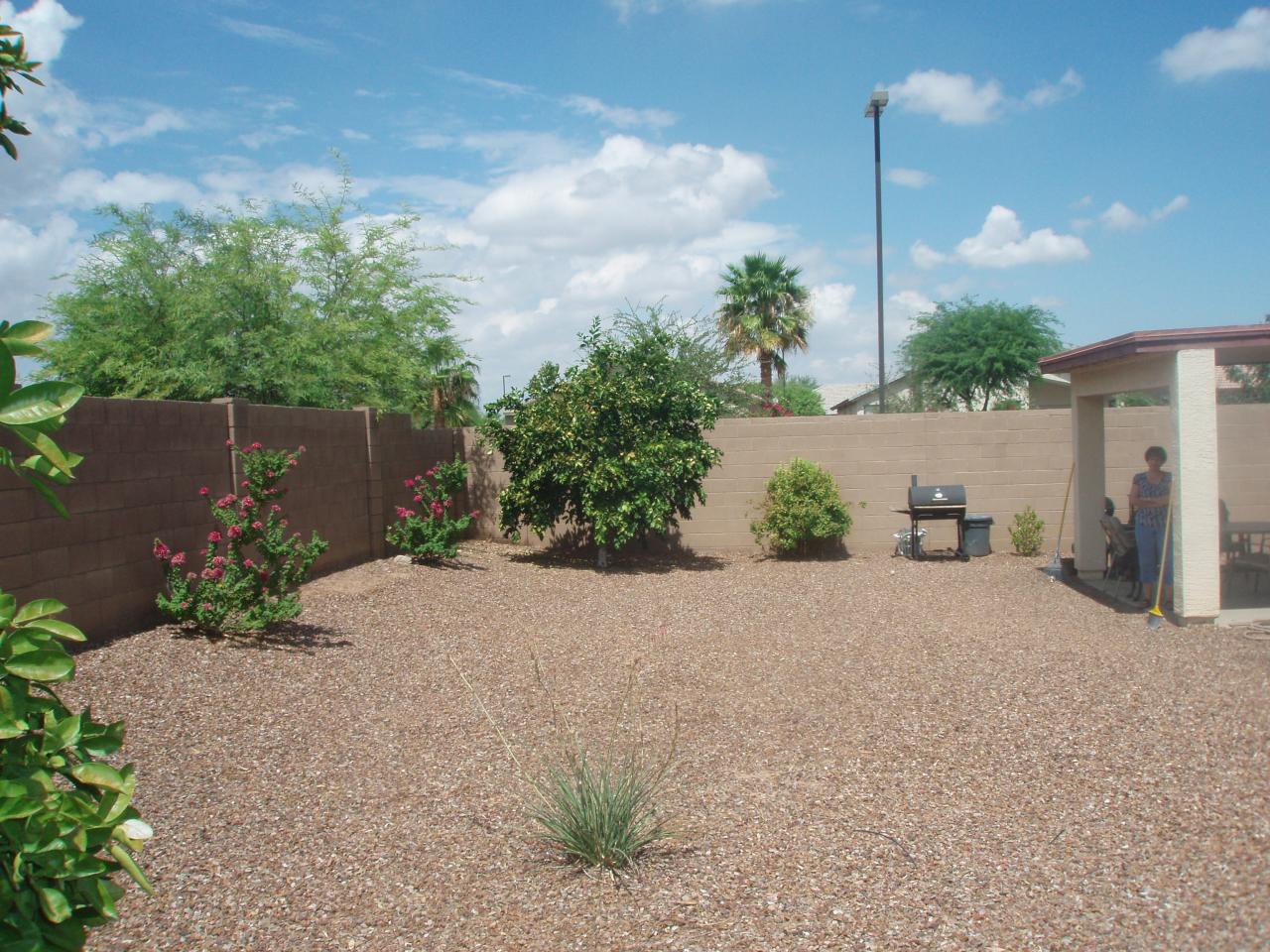 4230 South Splendor Place Gilbert, AZ 85297 - Photo 7 of 11 a view of a house with a yard and potted plants