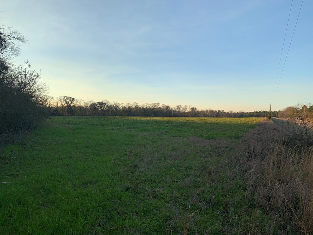 0 South Rambo Mill Road Cottonwood, AL 36320 - Photo 9 of 18