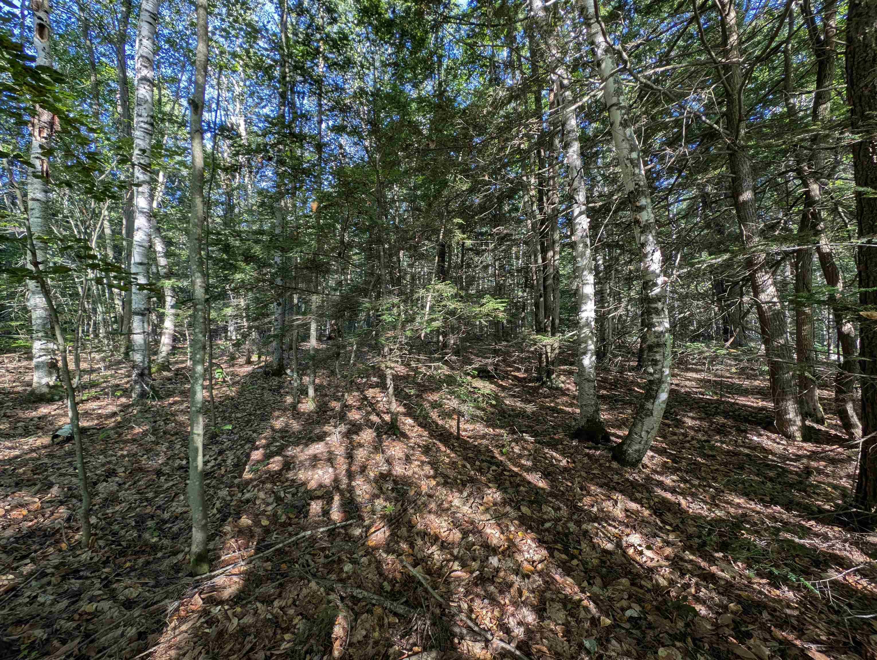 8-043-000 School House Road Francestown, NH 03043 - Photo 11 of 24